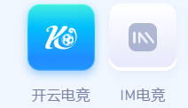 开云电竞·(中国)官方网站